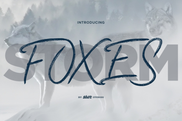 Foxes Display Font for Elegant Campaign Headlines