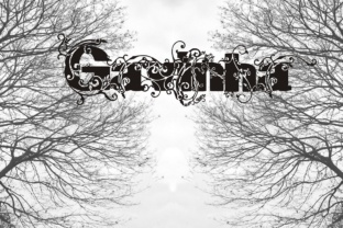Gavinha: A Font for Editorial Elegance