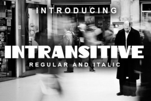 Intransitive: An Elegant Retro Display Font for Scroll-Stopping Visuals