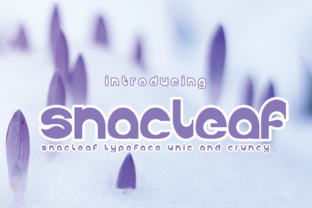Snackleaf: A Bold Display Font for Editorial Impact